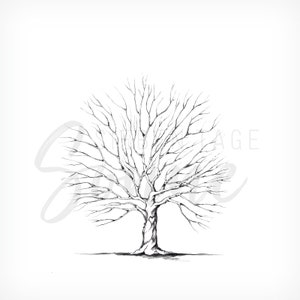 Wasserfarbe-Baum-Motiv für Hochzeiten, für Fingerabdrücke, Illustration, Digitales Produkt, Download Bild 3