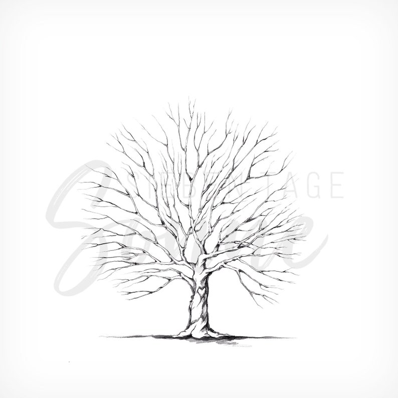 Wasserfarbe-Baum-Motiv für Hochzeiten, für Fingerabdrücke, Illustration, Digitales Produkt, Download Bild 3