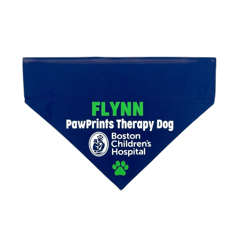 Personalized Custom Dog Bandana With Individualized Text Etsy