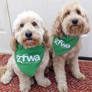 Puede incluir: Dos perros de color marr&oacute;n claro con bandanas verdes que dicen "GFWA Get Fit With Ashley". Los perros est&aacute;n sentados en una alfombra roja y blanca.