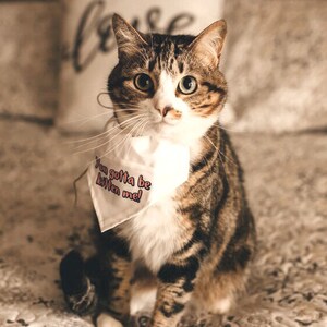 Puede incluir: Un gato atigrado con marcas blancas que lleva un pa&ntilde;uelo blanco con el texto "You gotta be kitten me!" en letras rosas. El gato est&aacute; sentado en una manta estampada.