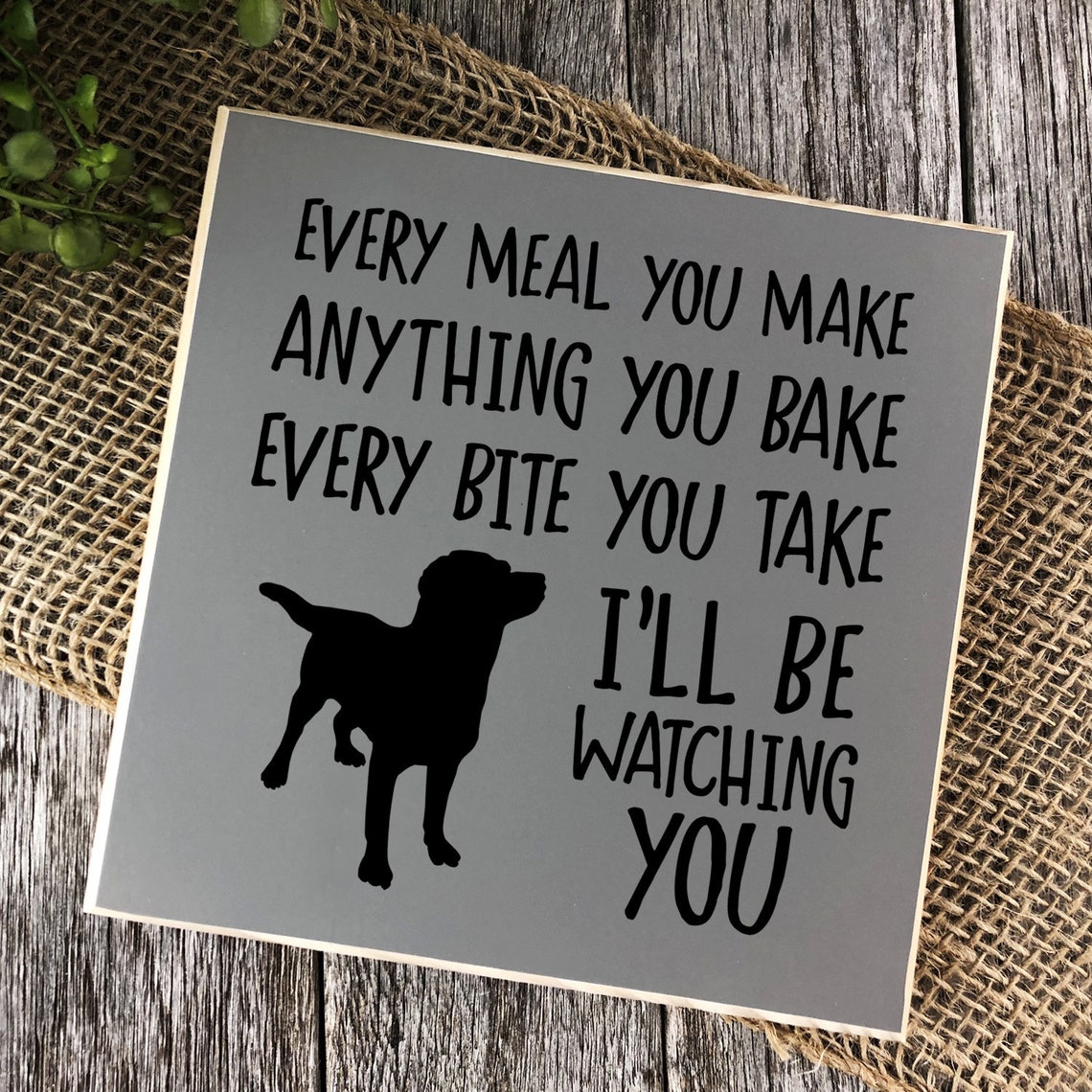 Cute & Funny Dog Sign Funny Pet Sign Wall or Shelf Decor Etsy