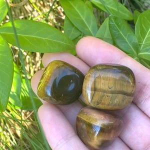 Tumbled Yellow Tiger Eye Crystals, 1 Pc Natural Golden Tigers Eye Crystal Tumbles