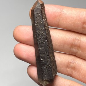 May include: A dark brown, elongated crystal with a pointed tip. The crystal has a rough, textured surface and a translucent, light brown tip. The crystal is held in a hand against a plain background. The crystal is a natural mineral.