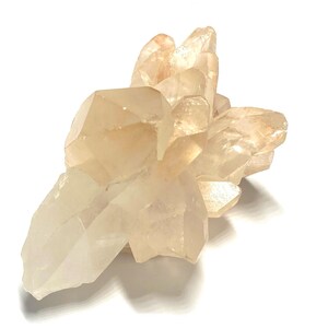 May include: A cluster of translucent, light-yellow crystals with a subtle peach hue. The crystals have sharp, geometric shapes and are arranged in a radiating pattern. The mineral specimen is set against a white background.