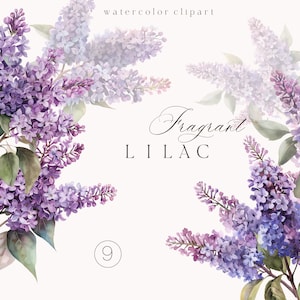 Imágenes prediseñadas de flores lilas - Ramos lilas púrpuras florales - Imágenes prediseñadas lilas de acuarela - Imágenes prediseñadas de boda - Flores púrpuras de primavera digital PNG