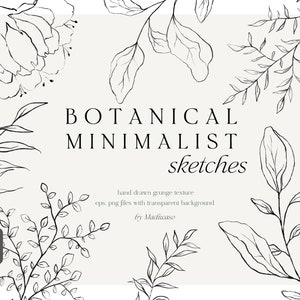 Clipart de arte de linha floral botânica minimalista, arte de desenho a lápis de flor, folhas botânicas desenhadas à mão arte de linha preta download PNG