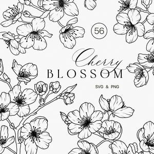Clipart de linha de flor de cerejeira SVG - Esboço floral de galho de árvore botânica Sakura - Belas artes florais de flor de ameixa - Flor de Sakura PNG