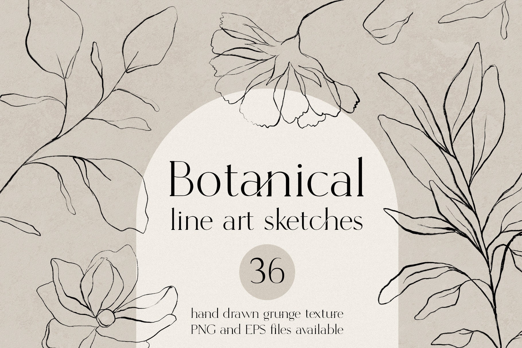 Botanical Line Art Clipart Botanical Fine Art PNG Sketches Etsy Canada