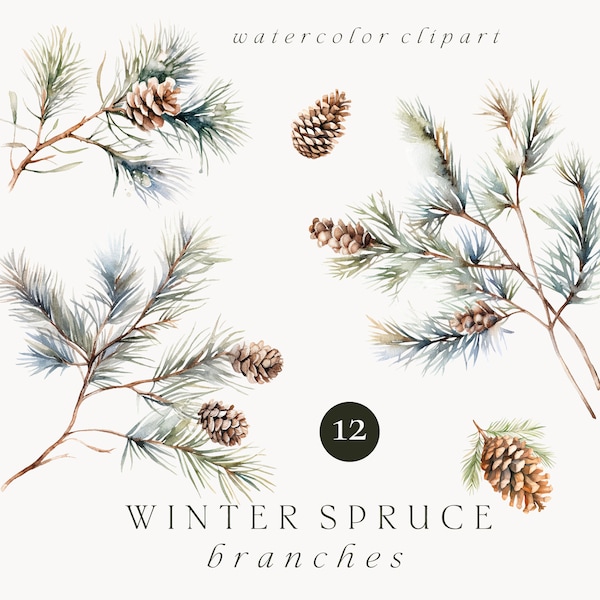 Watercolor winter spruce twigs clipart, Watercolor pine twigs, Christmas floral fir branch with pine cones clipart, Winter pine branch PNG