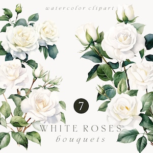 Weiße Rosen Aquarell Clipart - Rosen Blumensträuße Clipart - Aquarell Blumen weiße Rosen Clipart - Hochzeit Clipart - Weiße Rose PNG