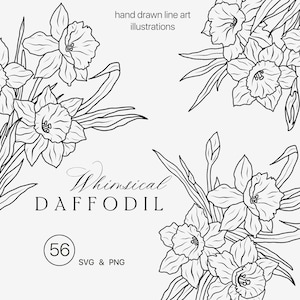 Narciso línea arte clipart SVG - Bocetos florales botánicos simples - Narciso floral línea fina arte - Flores de narciso ramos dibujados a mano PNG