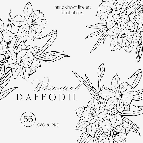 Daffodil line art clipart SVG - Botanical floral simple sketches - Narcissus floral fine line art - Daffodil flowers bouquets hand drawn PNG