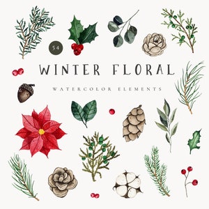 Clipart floral d’hiver, verdure d’hiver aquarelle, clipart floral aquarelle de Noël, fleurs d’hiver botaniques PNG télécharger