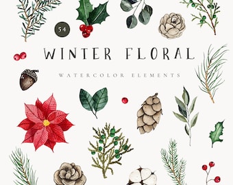 Winter floral clipart, Watercolor winter greenery