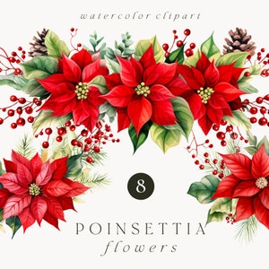 Clipart de poinsétia em aquarela, Flores de poinsétia em aquarela, Buquês de poinsétia de Natal clipart floral, Poinsétia em aquarela de inverno PNG