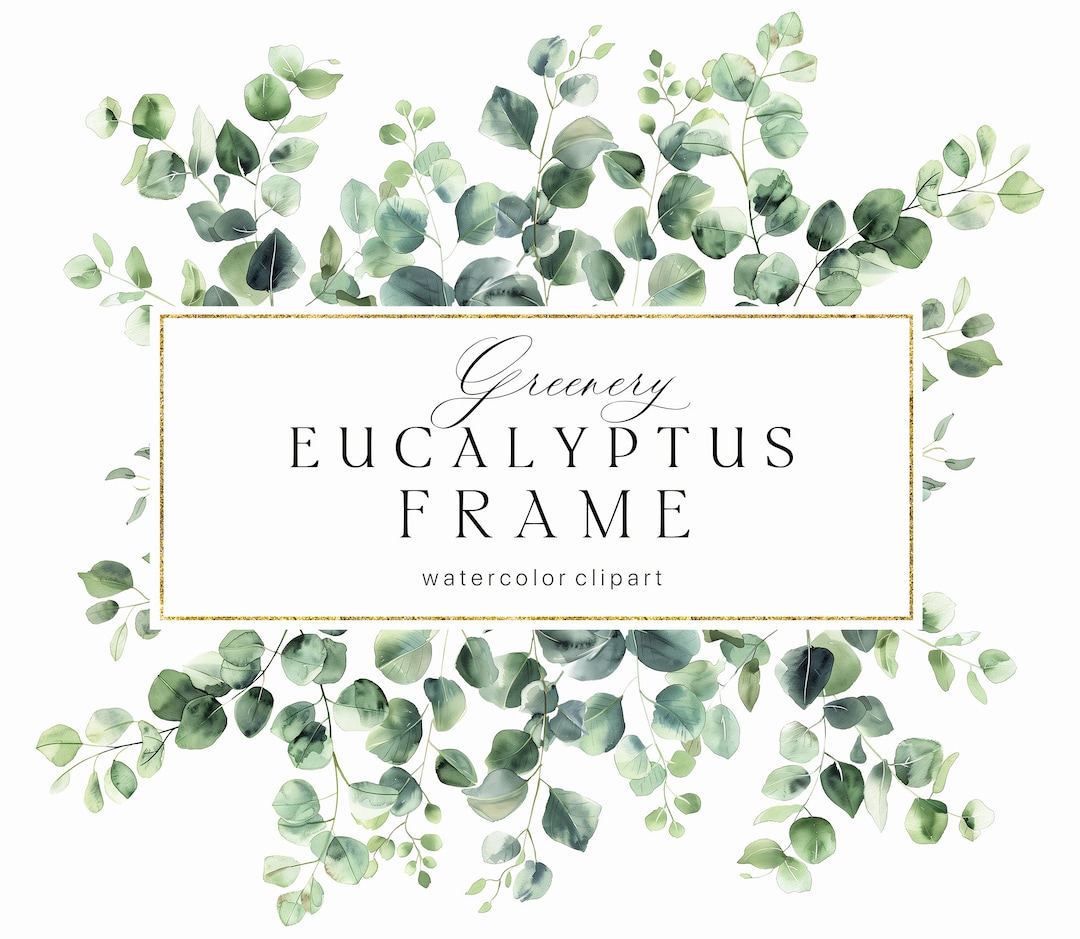 Watercolor Eucalyptus Frame Clipart - Eucalyptus Golden Wreath ...