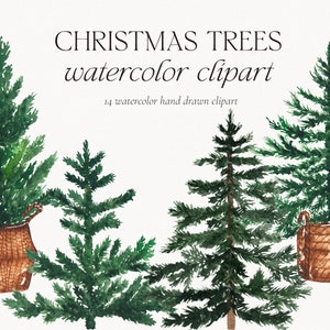 Clipart de pin aquarelle, clipart d’arbres de Noël, Sapin neigeux aquarelle, Épicéa forêt d’hiver arbres à feuilles persistantes, Arbre boisé PNG