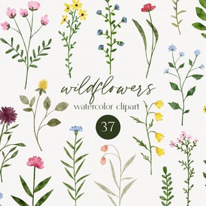 Imágenes prediseñadas de flores silvestres de acuarela, flores silvestres de prado floral de acuarela, vegetación de follaje botánico, imágenes prediseñadas de invitación de boda de flores silvestres PNG
