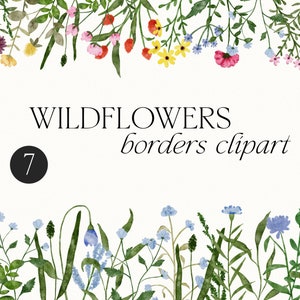 Wildblumen grenzen Clipart, Aquarell wilde Blume nahtlose Grenze, Wiese Blumenrahmen Clipart, botanische florale Bordüre Einladung PNG