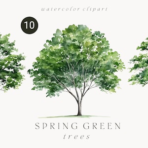 Aquarelle vert arbre clipart, clipart d'arbre de forêt de printemps été, clipart d'arbres de paysage forestier, clipart d'arbre de forêt de verdure PNG