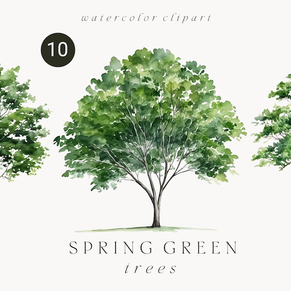 Watercolor green tree clipart, Spring summer forest tree clipart, Woodland landscape trees clipart, Greenery forest tree clipart PNG