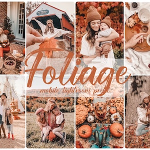 Preset Lightroom Mobile, Lightroom Mobile Preset, Lightroom Preset, Preset, Instagram Preset, Preset Lightroom, Autumn Presets, Fall presets