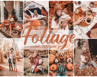 Preset Lightroom Mobile, Lightroom Mobile Preset, Lightroom Preset, Preset, Instagram Preset, Preset Lightroom, Autumn Presets, Fall presets