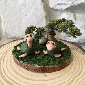 Turtles