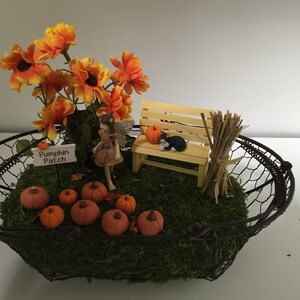 Peut inclure: Une sc&egrave;ne de jardin miniature de f&eacute;e dans un panier en fil de fer avec un petit banc en bois, une figurine de f&eacute;e, une figurine de chat noir, une pancarte indiquant "Pumpkin Patch" et plusieurs petites citrouilles orange.