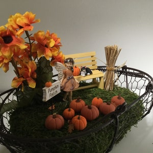 Peut inclure: Une sc&egrave;ne de jardin de f&eacute;es miniature dans un panier en fil de fer avec une f&eacute;e tenant une pancarte qui dit "Pumpkin Patch". Il y a des citrouilles miniatures, un banc jaune, un chat noir et des fleurs orange.