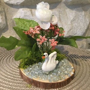 Swan