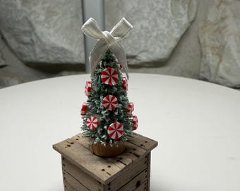 2” Peppermint Trees