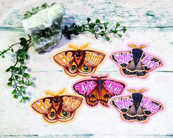 Pronoun Moths| Set of Five (5) Cute Vibrant Moths Pronoun LGBTQ Trans Non Binary Stickers Decals