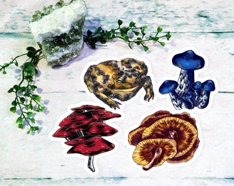 Spring Mushrooms| Set of Four (4) Cute Vibrant Mushrooms and Toad Stickers Decals