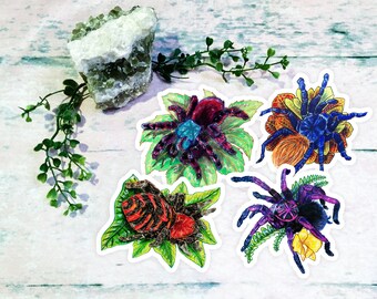 Fuzzy Tarantulas| Set of Four (4) Cute Vibrant Tarantula with Flowers and Plants Stickers Decals