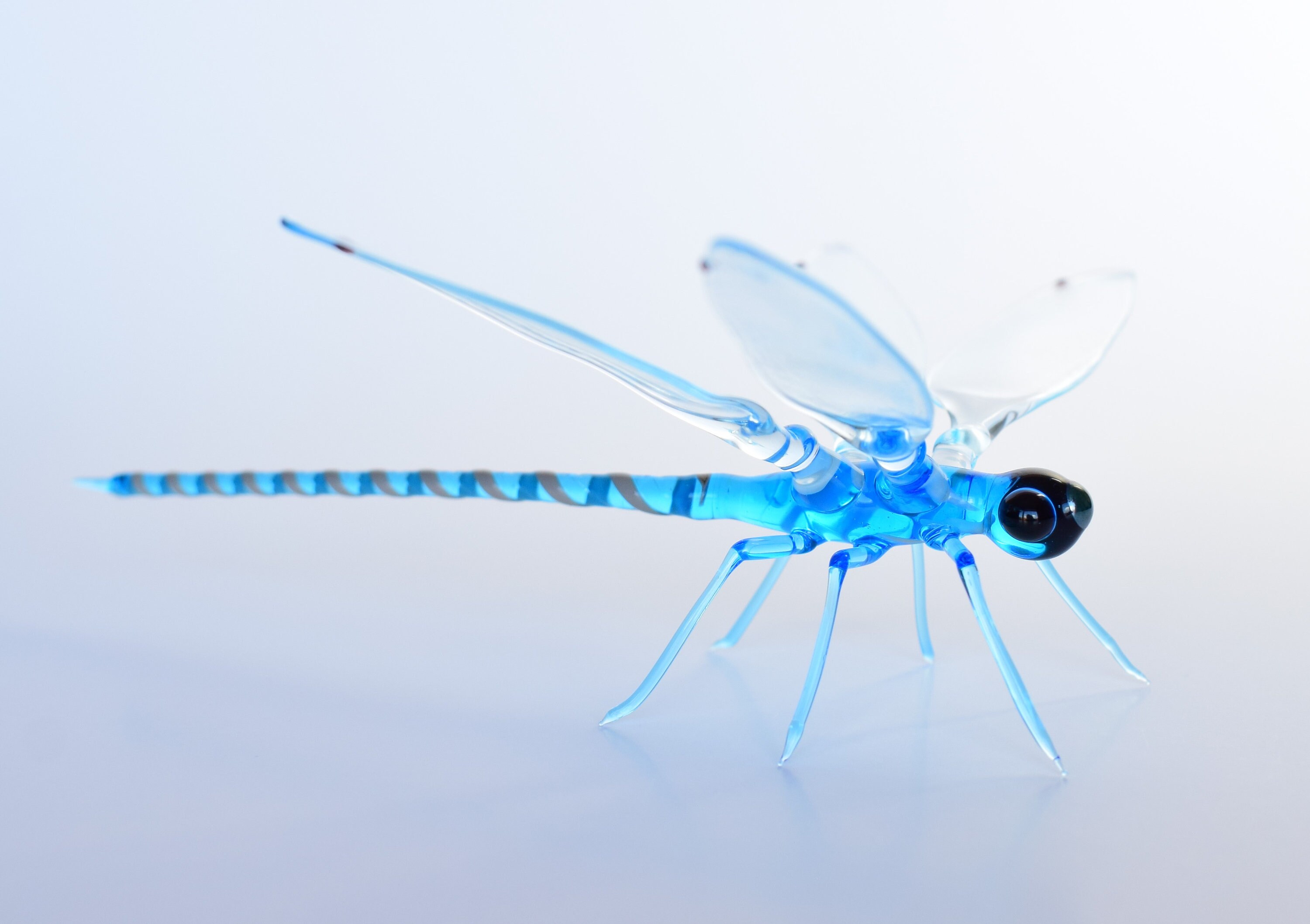 Buy Glass Dragonfly Figurine, Blown Glass Blue Dragonfly, Lampwork Blue  Dragonfly, Realistic Dragonfly, Blown Glass Insects Online in India 