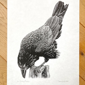 Curious Raven Print - Hand Carved Lino Cut bird art, titled, dated & signed