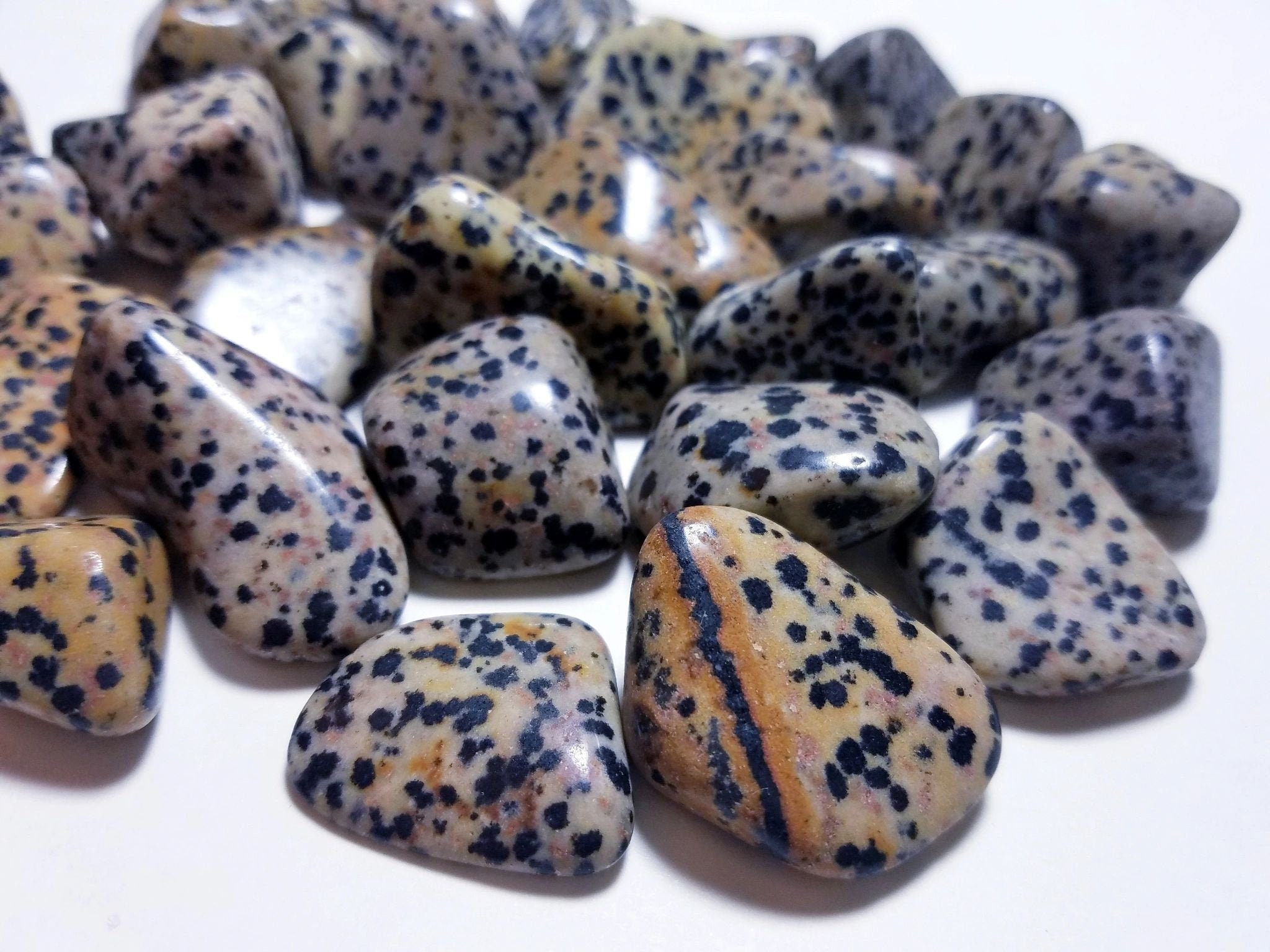 Dalmatian Jasper Tumbled Stones - Crystal Healing - Polished Rock Col…