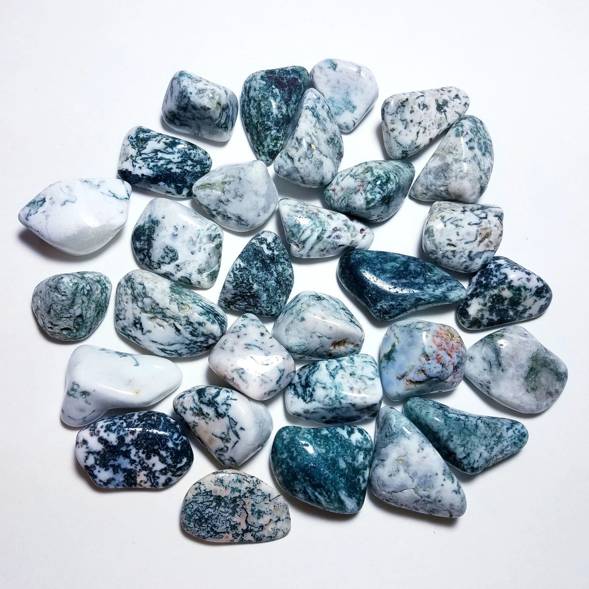 Tree Agate Tumbled Stones - Crystal Healing - Rock Collection - Polis…