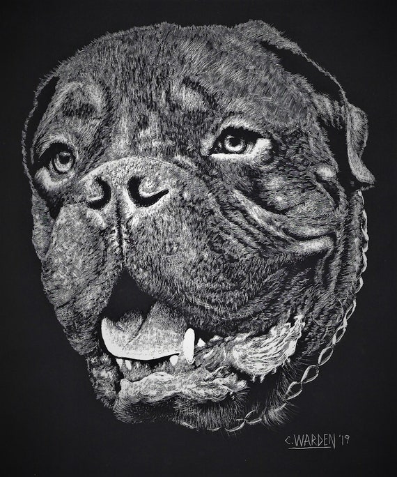 scratchboard for dogs