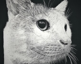 Chat fait main Scratchboard