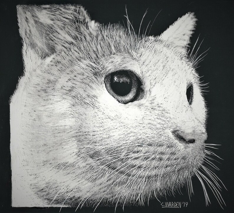 Handmade Pet Cat Scratchboard Etsy