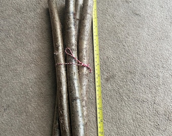May include: A bundle of four brown wooden sticks tied together with red and white twine, positioned next to a yellow measuring tape that indicates a length of approximately 18 inches for the longest stick in the collection.
