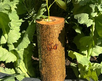 May include: A cylindrical wooden vase made from a natural log with rough, textured brown bark and a single central opening at the top. A vibrant orange and yellow rose with a green stem is placed inside the vase, standing upright.