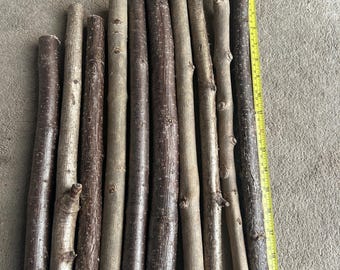 May include: A collection of ten cylindrical wooden sticks of varying shades of brown, arranged vertically. A yellow measuring tape is placed alongside the longest stick on the right, showing a length of approximately 19 inches for that piece.