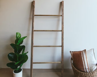 nursery ladder shelf