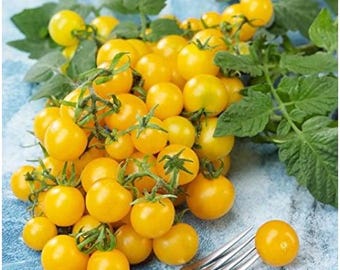 Tomato Firefly F1 Hybrid Cherry Seeds