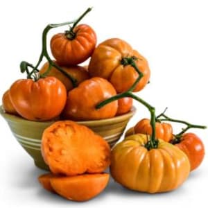 May include: A bowl filled with ripe, orange heirloom tomatoes, some still attached to their green stems. One tomato is sliced open, revealing its juicy interior. The bowl is light yellow with a green stripe.