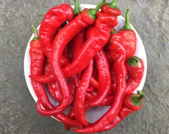 Sweet Pepper Seeds, Jimmy Nardello Italian